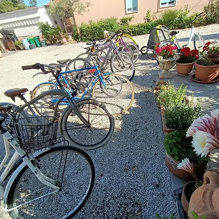 アパート Service Pt1 Scerne