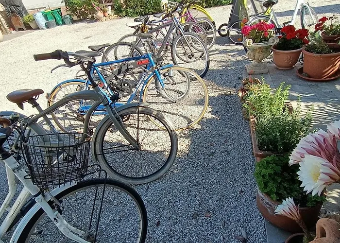 Apartamento Service Pt1 Scerne