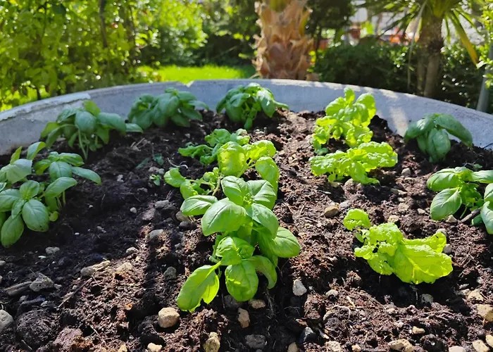 Appartement Service Pt1 *