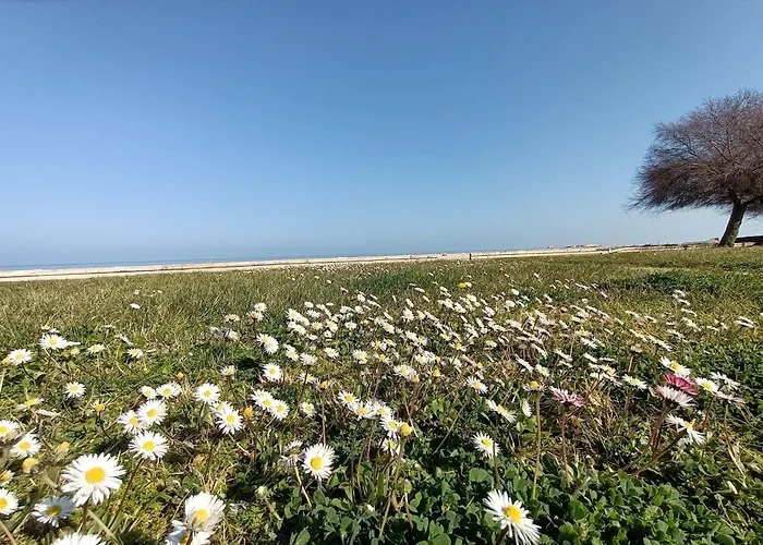 Appartement Service Pt1